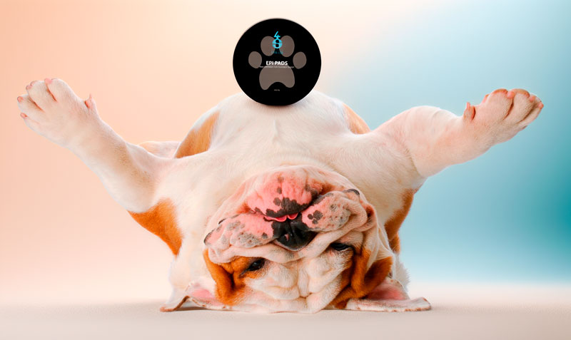 Epi Pads – vedetön tassusalva koirille
