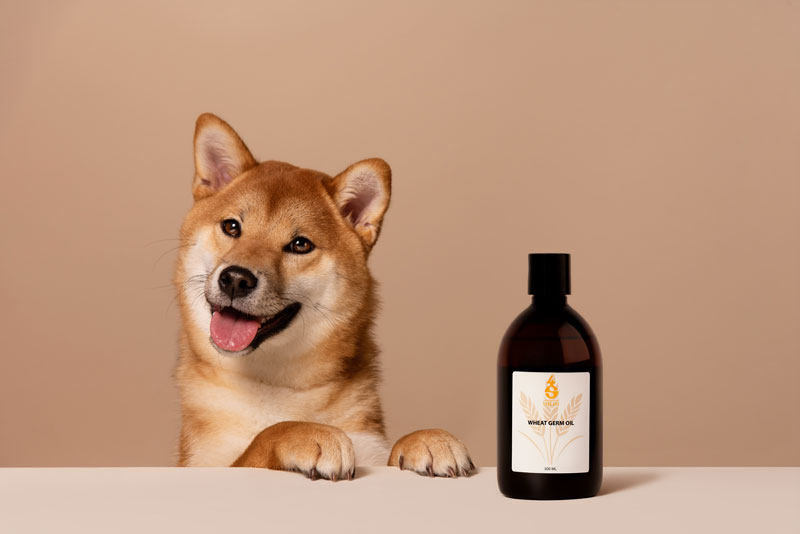 4S Wheat Germ Oil – vehnänalkioöljy