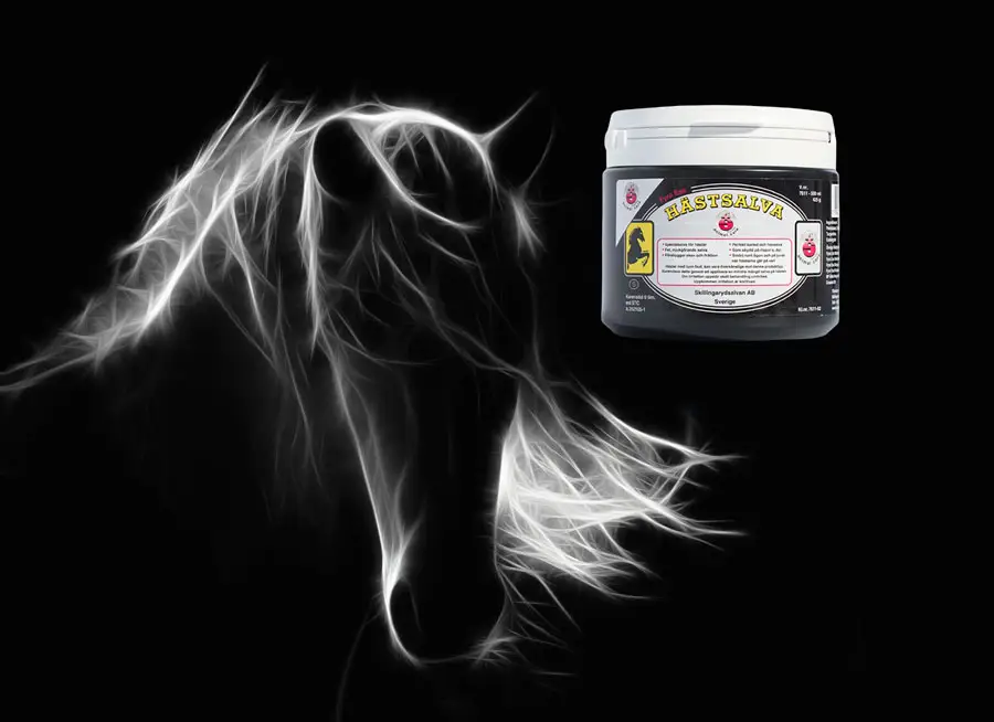 Hevossalva | 500 ML - Image 3