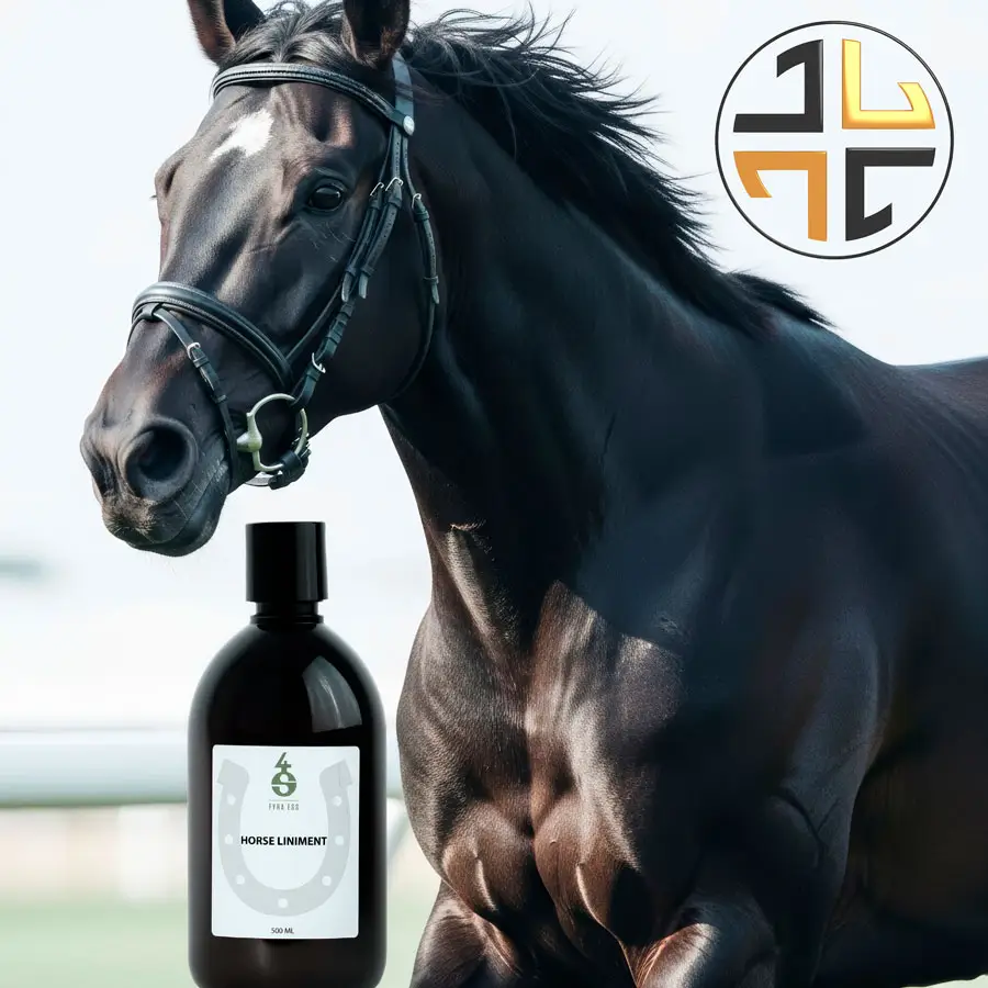 Hevoslinimentti | 500ML - Image 2